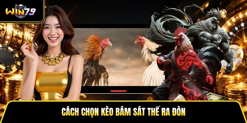 Đá Gà Win79 - Kinh Nghiệm Xem Trận Và Đánh Giá Chiến Kê - LUCKY99 Đá Gà Win79 - Kinh Nghiệm Xem Trận Và Đánh Giá Chiến Kê - LUCKY99