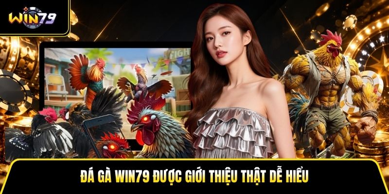 Đá Gà Win79 - Kinh Nghiệm Xem Trận Và Đánh Giá Chiến Kê - LUCKY99 Đá Gà Win79 - Kinh Nghiệm Xem Trận Và Đánh Giá Chiến Kê - LUCKY99