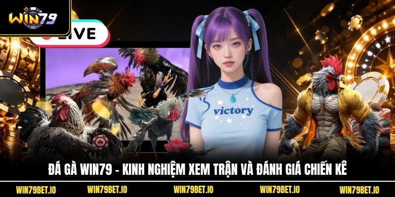 Đá Gà Win79 - Kinh Nghiệm Xem Trận Và Đánh Giá Chiến Kê - LUCKY99 Đá Gà Win79 - Kinh Nghiệm Xem Trận Và Đánh Giá Chiến Kê - LUCKY99